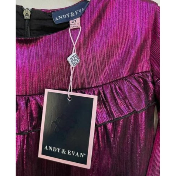 Andy & Evan Girls Fuchsia Metallic Ruffle Pleated A-Line Dress 2T MSRP $58 - Picture 5 of 5